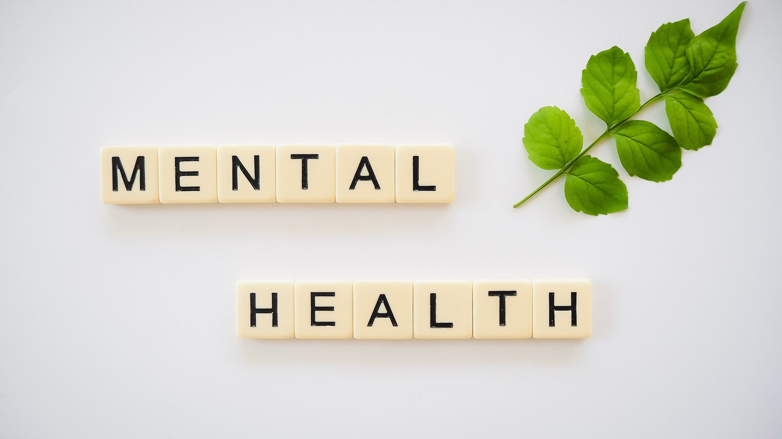 Mental Health Information